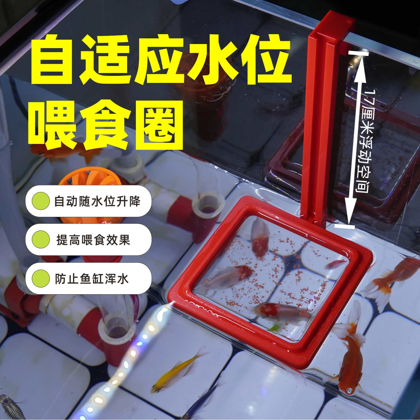自适应水位鱼缸喂食圈无需调节
