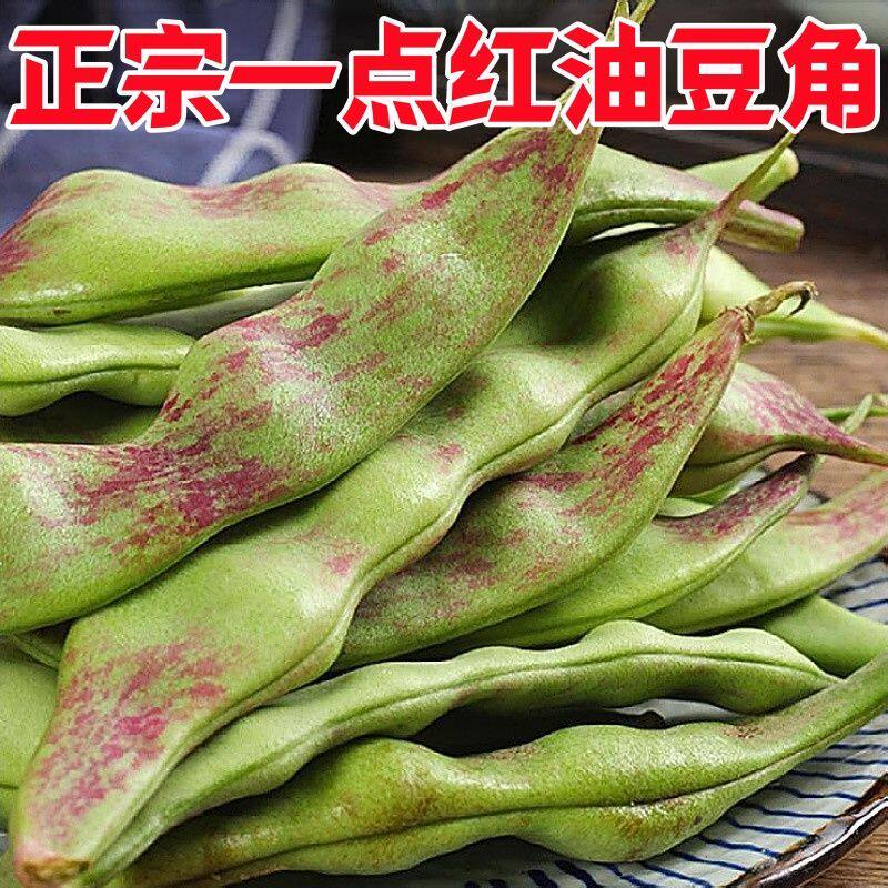 一点红油豆角新鲜东北油豆角开锅烂面豆角九月青现摘新鲜蔬菜包邮