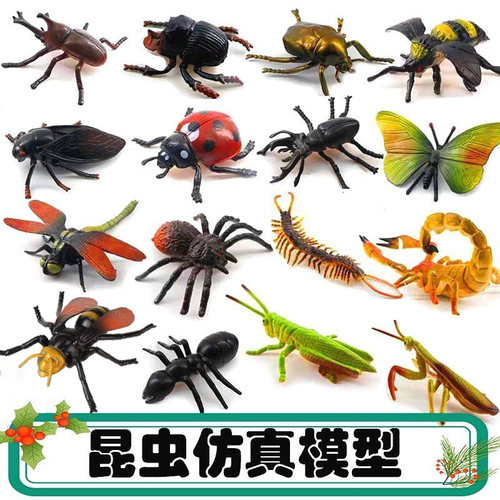 仿真昆虫模型大号儿童认知玩具