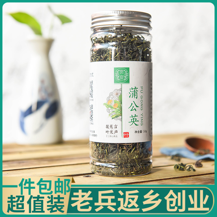 长白山特级蒲公英茶50g非清火茶