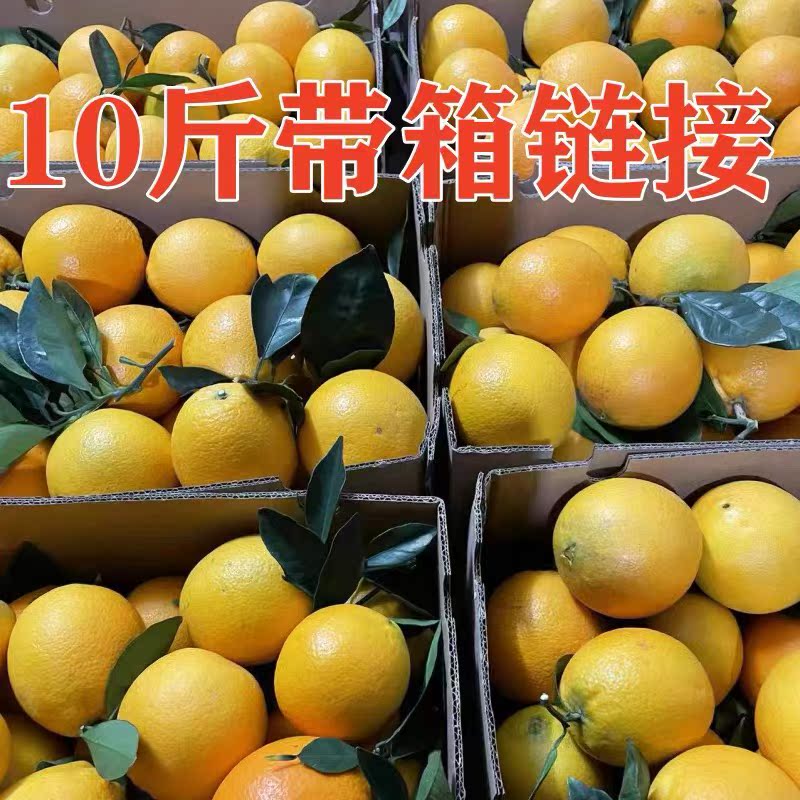 赣南脐橙10斤包邮新鲜采摘现发整箱不打蜡不催熟不打甜蜜素