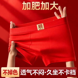 内裤 4条装 透气平角裤 3条 1条 新春红色男士