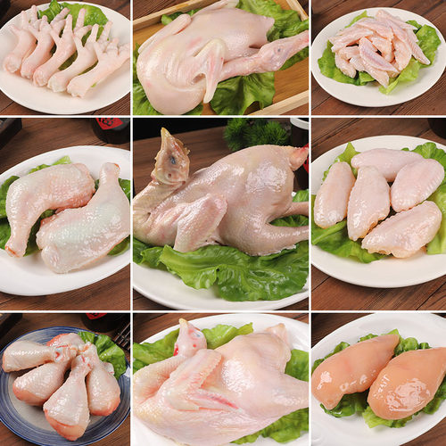 仿真生鸡腿鸡胸肉食物模型