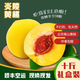 正宗湖南炎陵黄桃现摘锦绣黄桃新鲜当季水果高山整箱送礼10斤大果