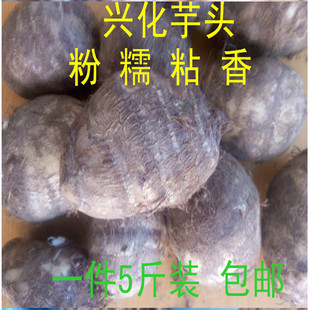 芋头兴化特产舌尖上的龙香芋 芋头仔 农家香芋头 5斤装包邮