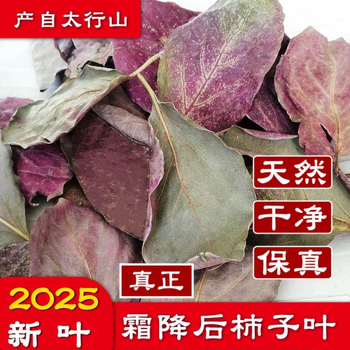霜打野生柿叶中药材霜打