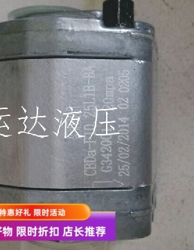 微型齿轮泵 SDH齿轮泵 润滑泵  CBDa-F10.25L1B-BA 液压机油泵