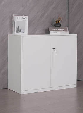 钢制办公铁皮文件柜矮柜办公室资料柜拆装薄边储物对开柜带锁白色