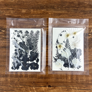 水墨干花压花 水墨暗黑 亚马逊跨境热卖Pressed Flower相框用标本