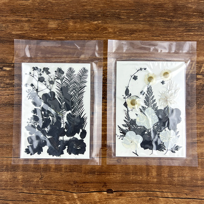 水墨干花压花 水墨暗黑 亚马逊跨境热卖Pressed Flower相框用标本