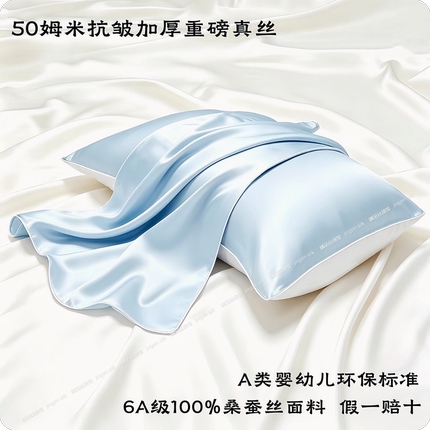 a类25/50姆米加厚真丝枕套双面款100%桑蚕丝丝绸美颜枕头套单只