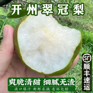 正宗翠冠蜜梨四川重庆开州青梨子新鲜10斤当季水果脆冠梨礼盒青皮