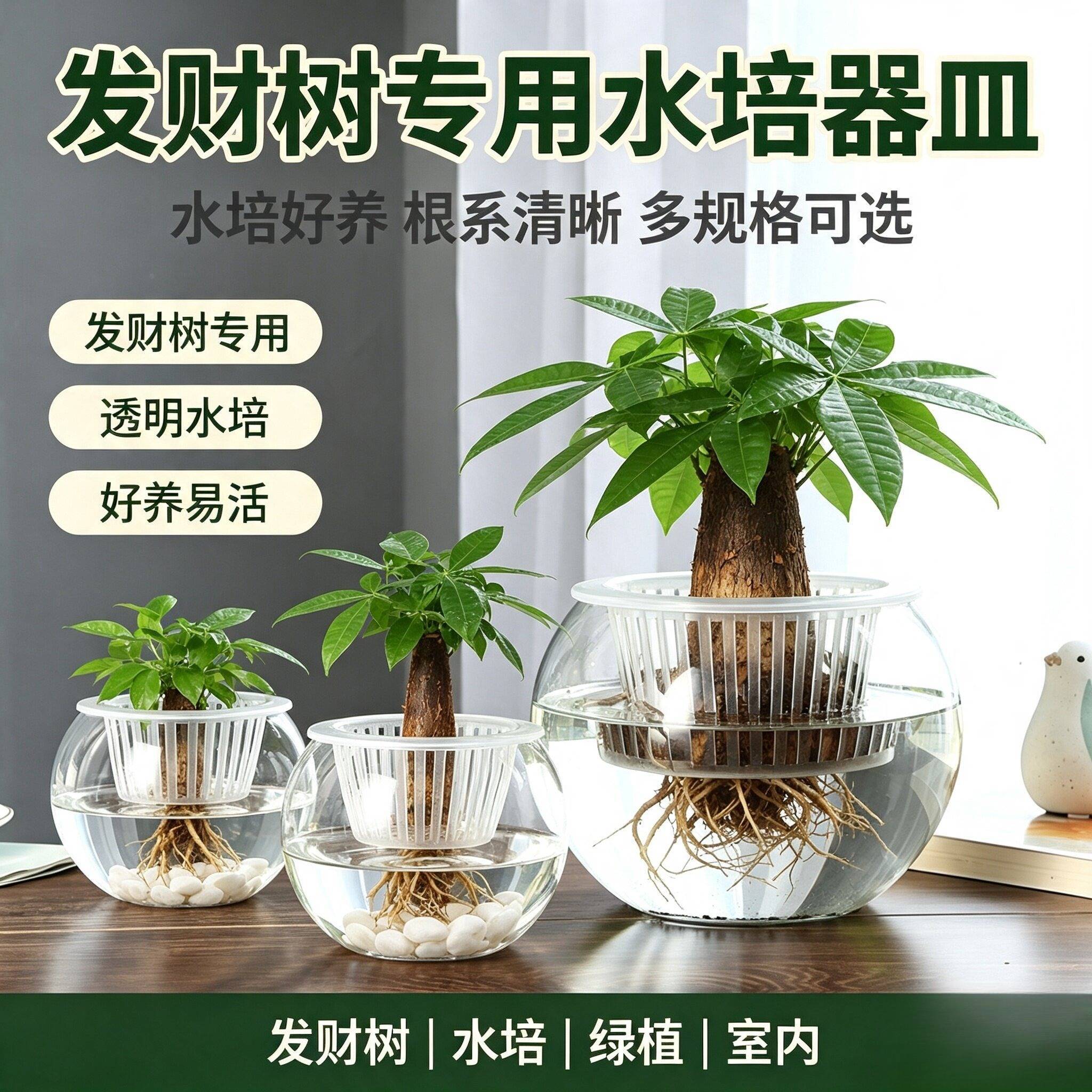 发财树水培器皿植物玻璃瓶绿萝大号加厚玻璃花盆圆球型鱼缸花瓶