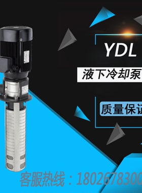 阳江粤华牌YDL5系列立式高压机床冷却泵多级不锈钢离心泵液下泵