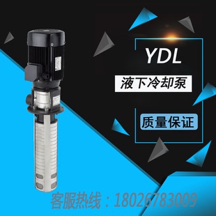 阳江粤华牌YDL5系列立式高压机床冷却泵多级不锈钢离心泵液下泵