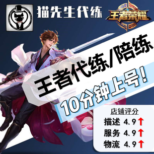 王者荣耀代练排位打陪玩上分星巅峰赛猫先生工作室 10分钟上号