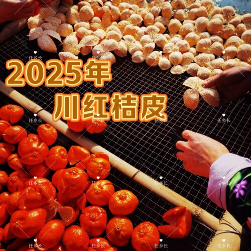 【第一年陈】2025年四川陈皮正宗大红袍红袍柑橘子皮川红桔250克