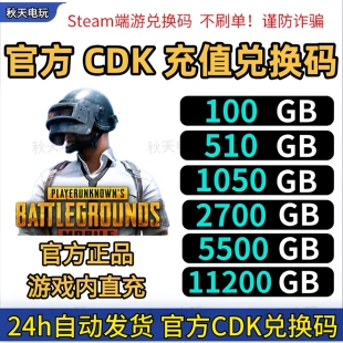PUBGG币绝地求生G币吃鸡g币官方充值吃鸡gb 游戏币点卷兑换码CDK