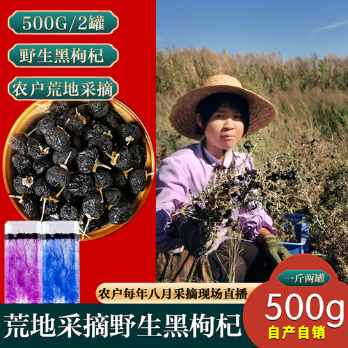 黑枸杞头茬野生免洗甘肃500g罐装泡茶男肾荒地农户采摘颗粒偏小
