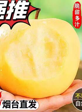 山东烟台奶油富士特级新鲜苹果