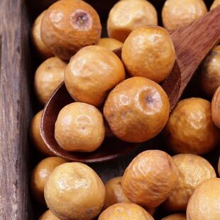 【云金玲】云南金铃子 云金铃