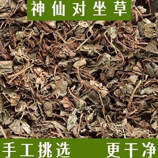神仙对坐草正品合掌消对坐草新货上市