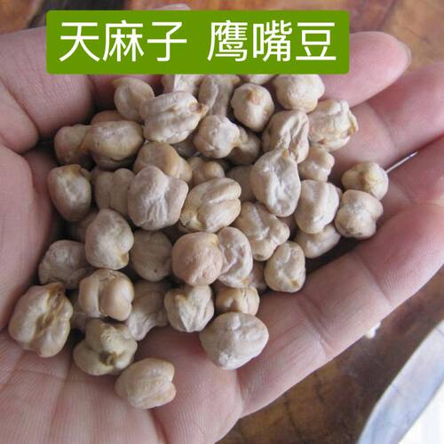 云南鹰嘴豆 天麻子天麻豆 小天麻子豆 天麻籽新货