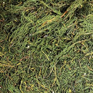 景迈山古树螃蟹脚糯香甘甜云南寄生螃蟹脚散货