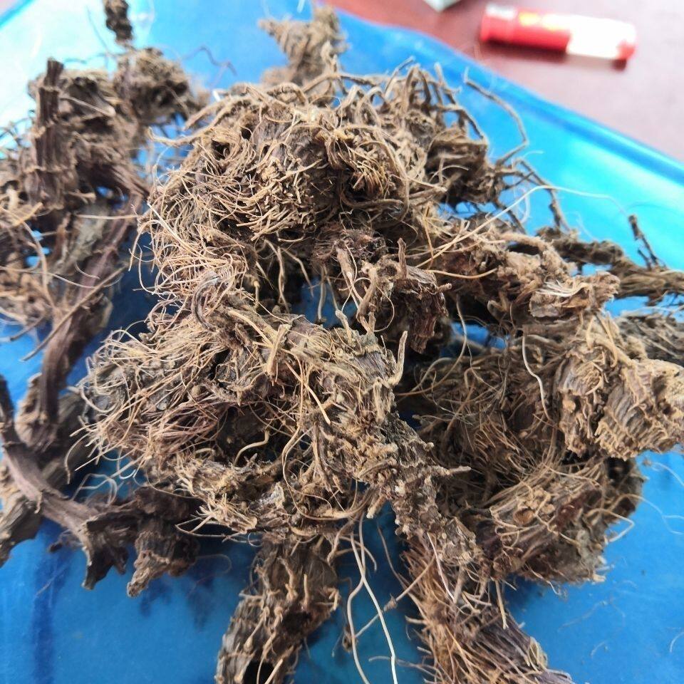 中药材九子连环草根珠串珠 串白鸡 连环草 肉连环 西昌产