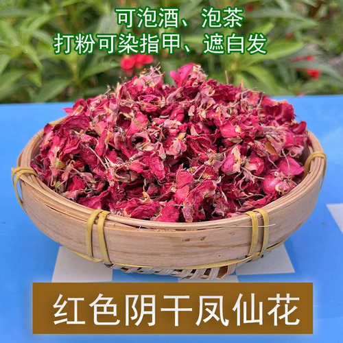 凤仙花干花瓣指甲草染头发染指甲