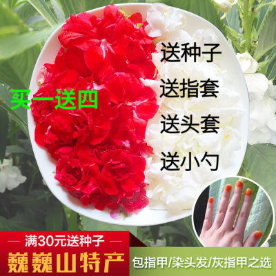 花瓣花卉种子庭院阳台凤仙花夏季