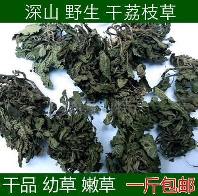 水洗干货荔枝草野生蛤蟆草草茶
