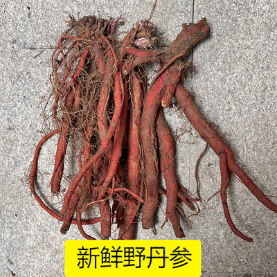 丹参红参保心茶产自南阳