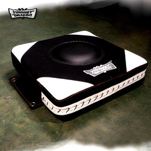 DRAGON 咏春拳R靶 泰拳贴墙拳击墙靶 家用散打墙壁沙袋沙包