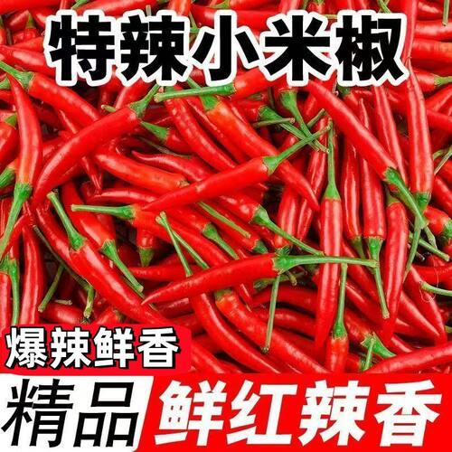 新鲜小米辣特辣小米辣鲜椒朝天椒红辣椒指天椒泡椒红辣椒产地现货