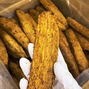 黄金条苦瓜茶铁观音厦门鼓浪屿30年炭焙浓香型苦瓜乌龙茶特级500g