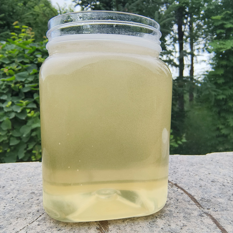 六道木蜂蜜百花蜜纯正天然农家自产野山花土蜂蜜降龙木原蜜成熟蜜