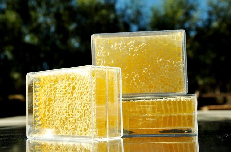 天然农家自产野生百花蜂窝蜜椴树蜂巢蜜东北土蜂蜜嚼着吃的蜂蜜|msdalam kategori makanan berkhasiat tradisional, madu - dari Buy2taobao.com untuk memberikan perkhidmatan ejen Taobao profesional membeli