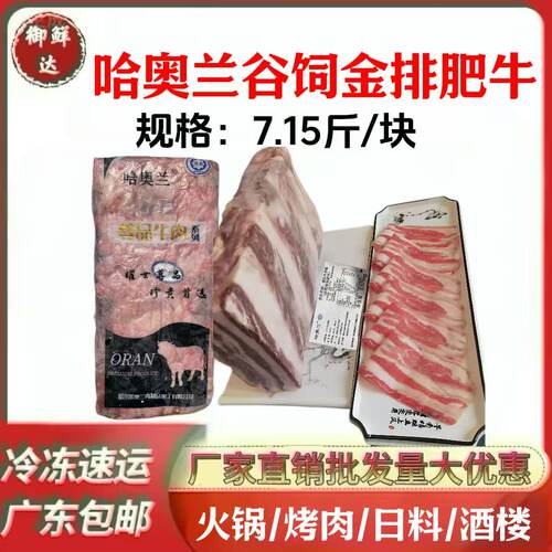 哈奥兰谷饲金排肥牛7.15斤/块雪花肥牛卷牛肉砖商用烤肉火锅食材