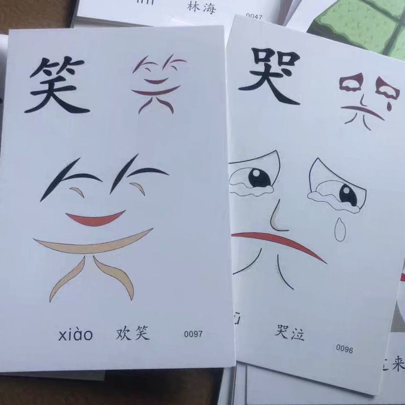 全脑认字 象形教学卡片 左右脑开发识字字卡  培训班教师专用大卡