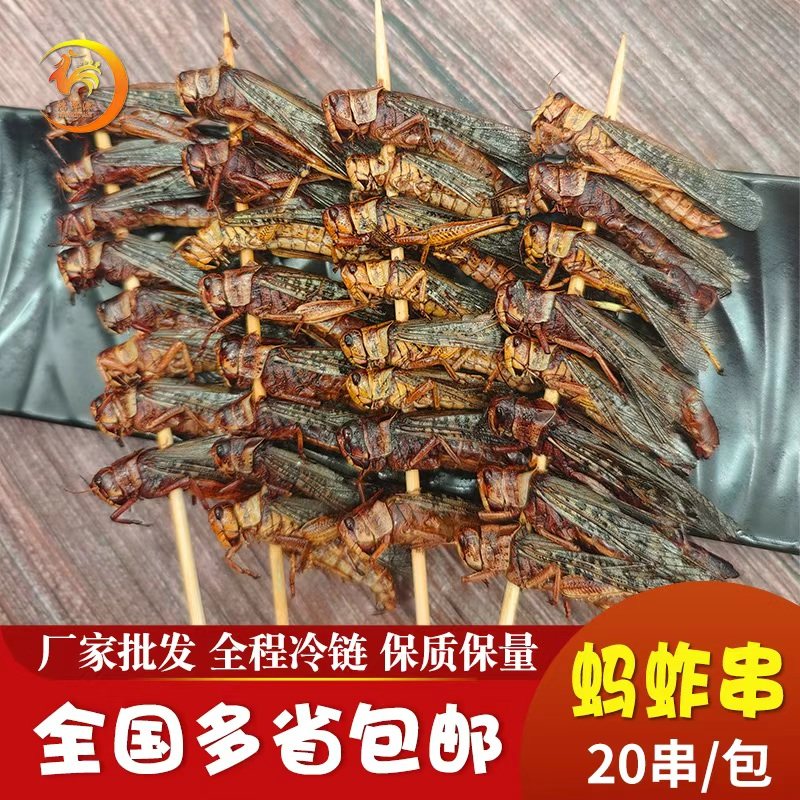 蚂蚱串 烧烤串油炸食材蝗虫串冷冻半成品家庭商用网红小吃3包包邮