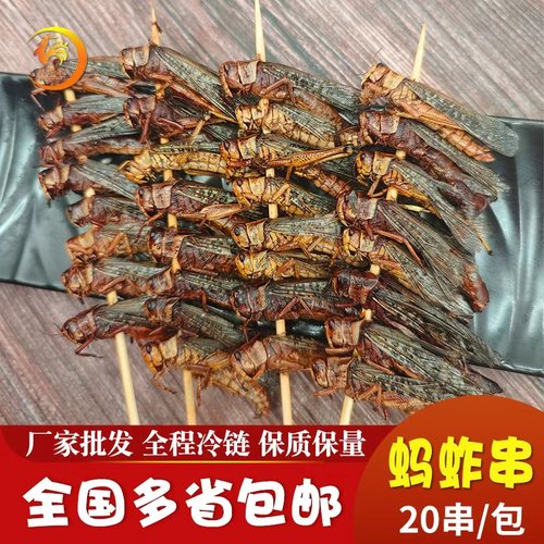 蚂蚱烧烤串油炸食材冷冻半成品