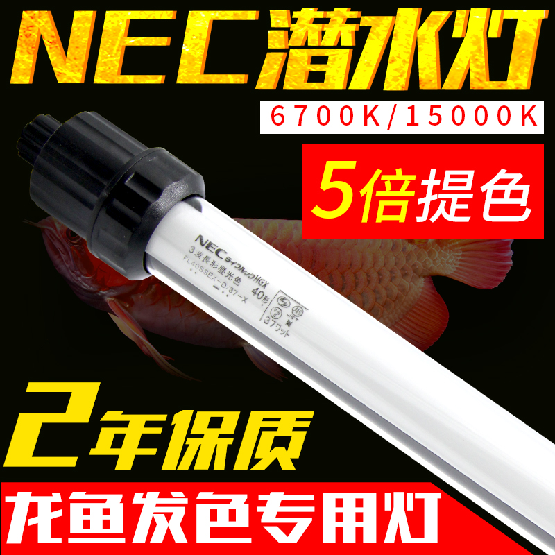 necDZˮµÆÓã¸×µÆ½ðºìÁúÓãרÓõƷÀˮDZˮ6700KÈý»ùÉ«t8ÕÕÃ÷ÔöÑÞµÆ