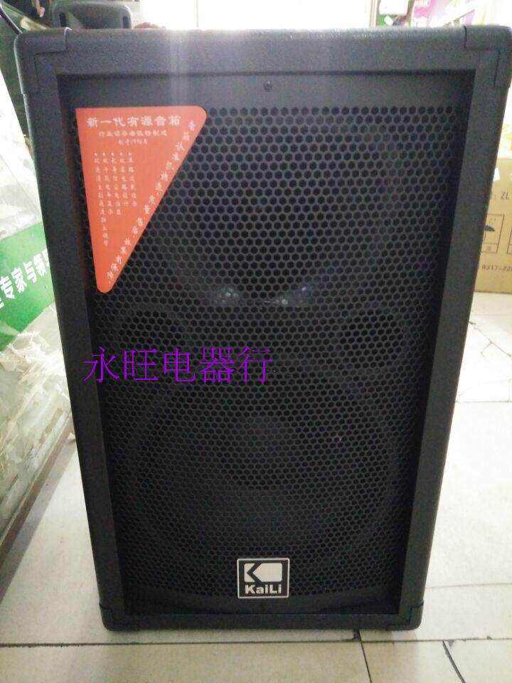 凯力120w户外音响 大功率广场便携式音响 演出乐队音箱 可接副箱