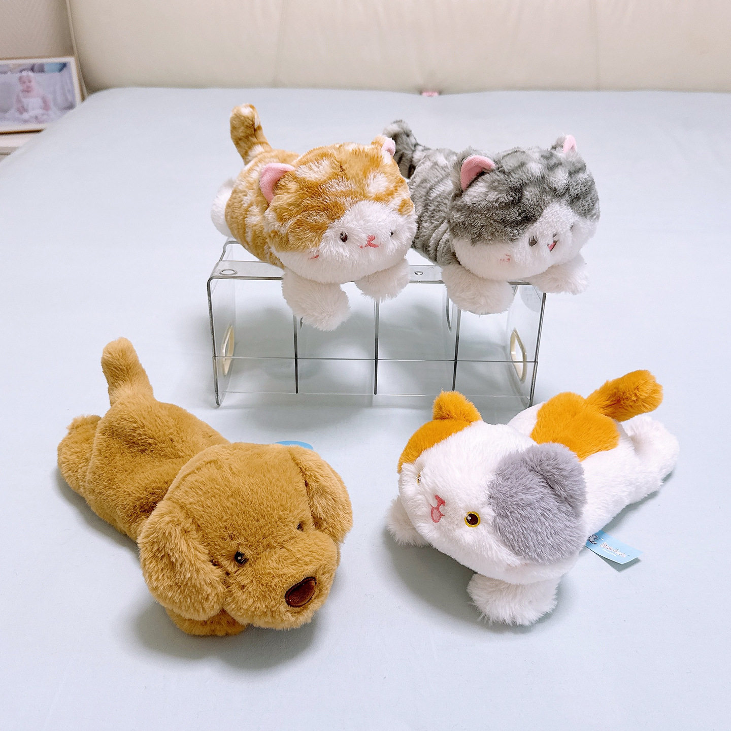 正版猫咪公仔哈士奇玩偶儿童礼物图片