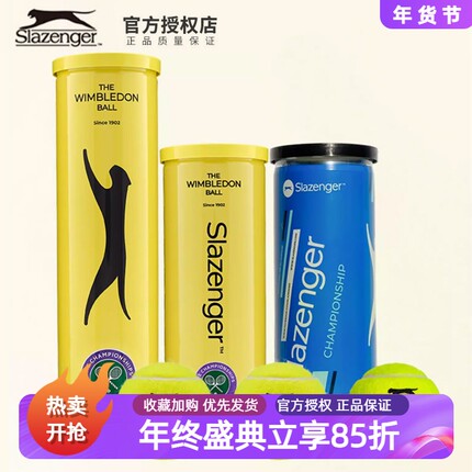 Slazenger史莱辛格网球温网比赛用球耐磨胶罐铁罐袋装散装豹子球