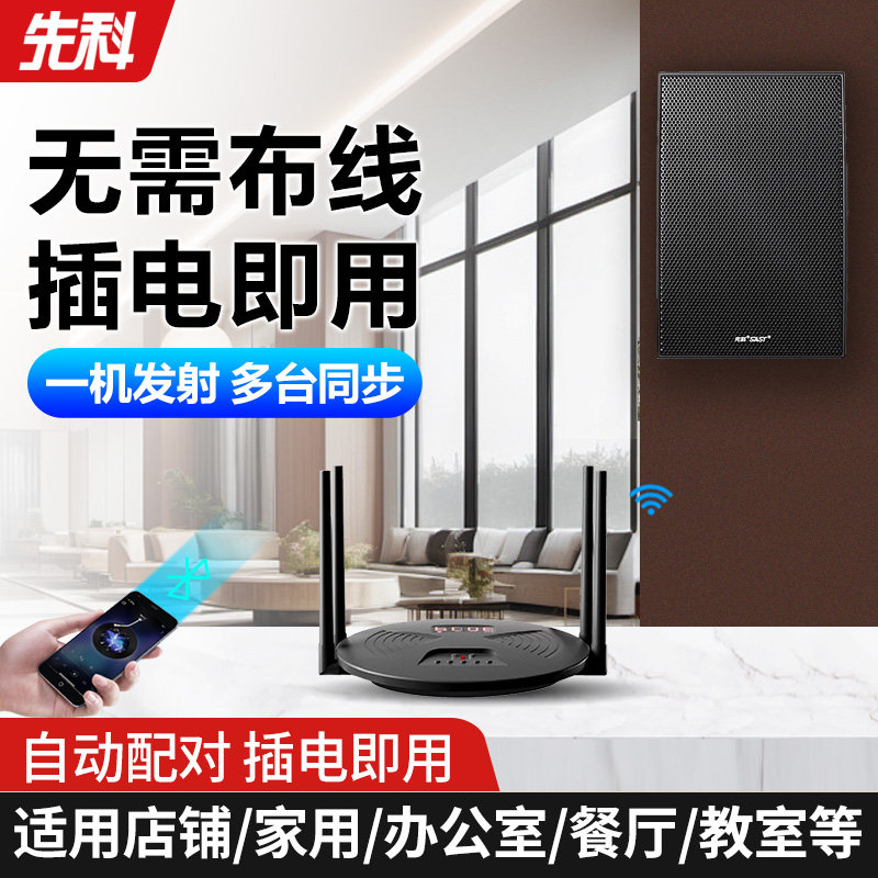 SAST/先科室内壁挂无线音箱D3商场店铺广播K歌重低音庭院吸顶音响