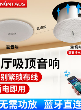 金正吸顶音箱蓝牙免功放丝膜高音