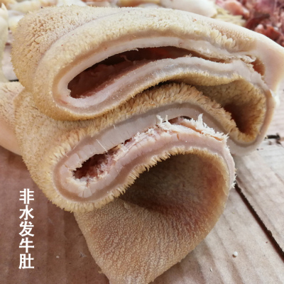 全熟冷冻原料每天现煮包邮牛肚