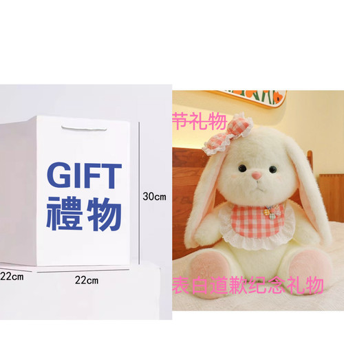录音娃娃公仔玩偶礼物毛绒pp棉
